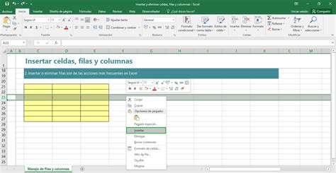 INSERTAR Y ELIMINAR FILAS Y COLUMNAS